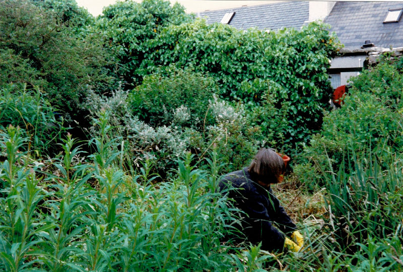 Marengo Community Garden-1997